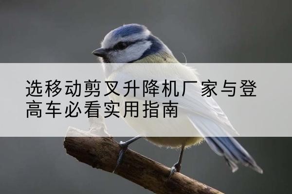 镇巴电动升降机厂家-选移动剪叉升降机厂家与登高车必看实用指南