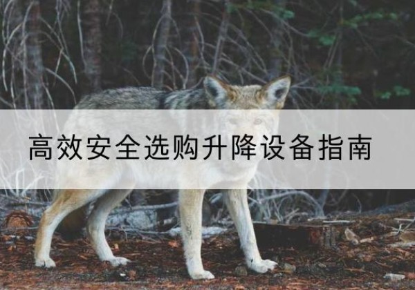 镇巴升降货梯厂家推荐-*安全选购升降设备指南