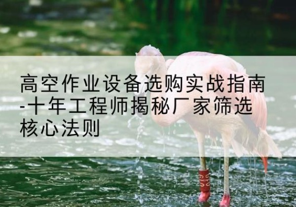 镇巴剪叉式升降机厂家-高空作业设备选购实战指南-十年工程师揭秘厂家筛选核心法则