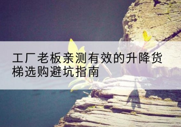 镇巴升降货梯怎么选-工厂老板亲测有效的升降货梯选购避坑指南